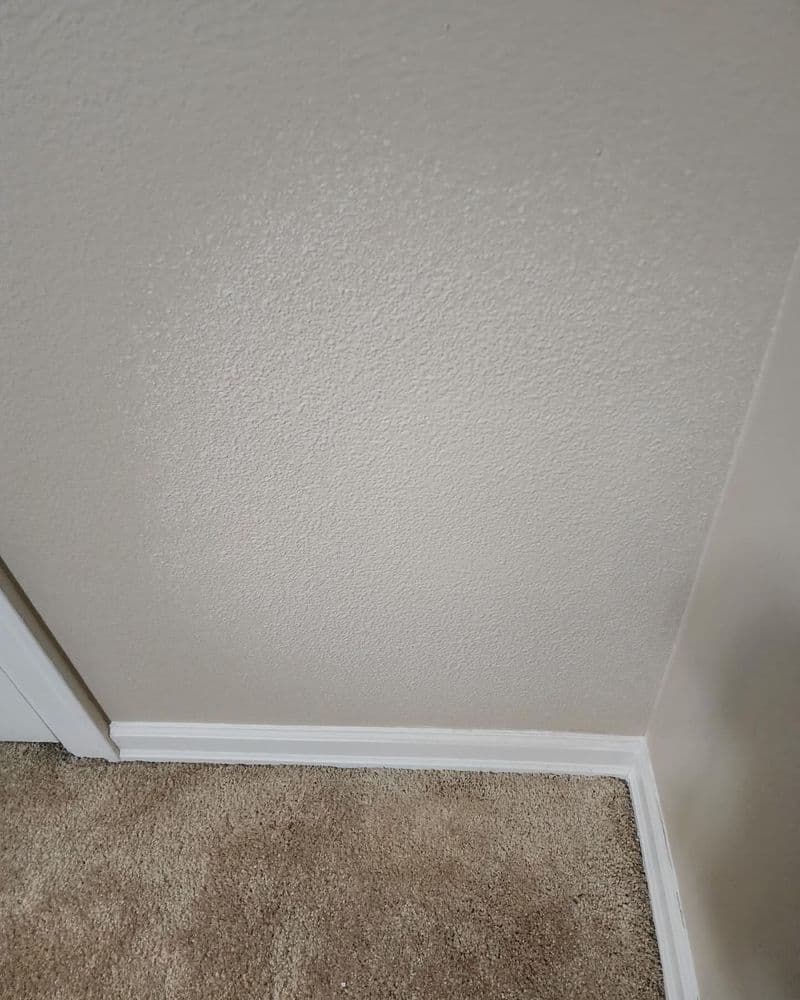 Textured beige wall with white trim in corner, adjacent to light brown carpet.